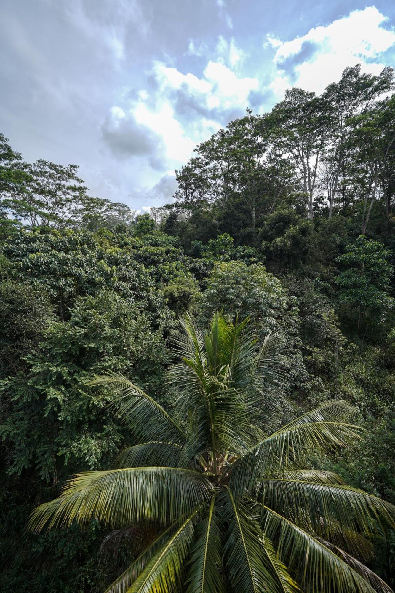 Bed & Breakfast Hanthana House